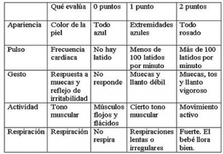 APGAR.png :: Guia de Valoración al Recien Nacido